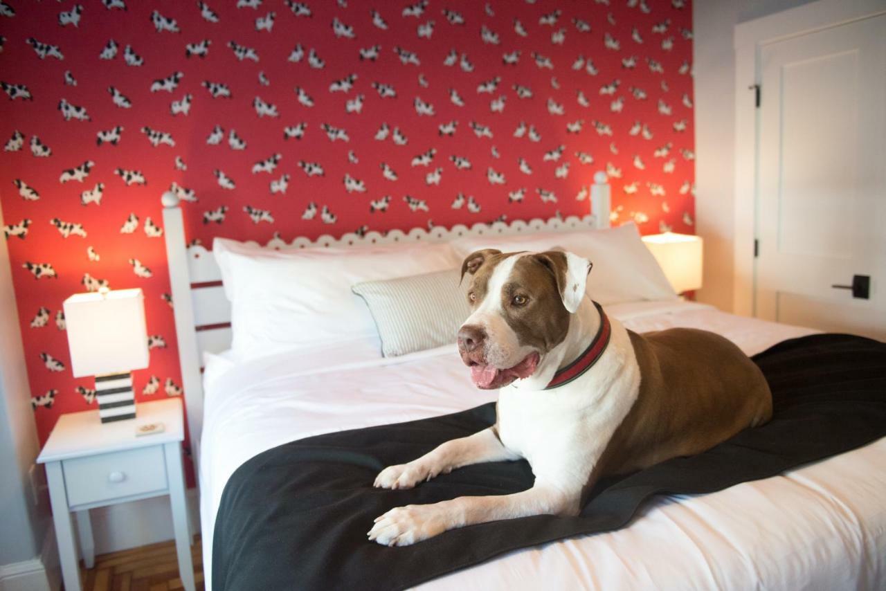 Paws On Pelham (Adults Only) Bed & Breakfast Нюпорт Екстериор снимка